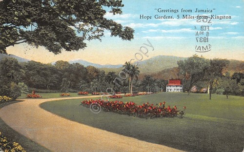 Cartolina Jamaica Hope gardens 1937
