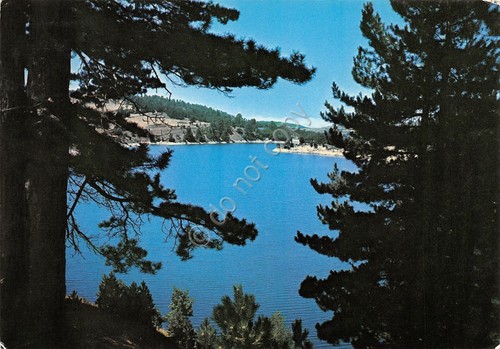 Cartolina La Sila Lago Cecita 1975 (Cosenza)