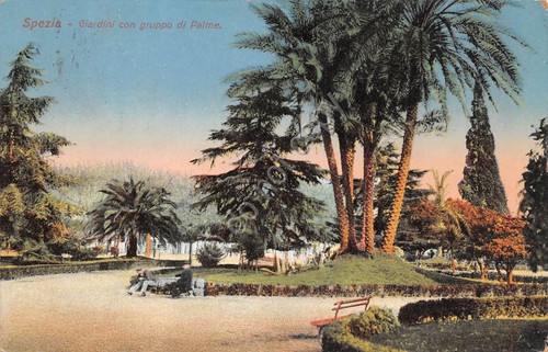 Cartolina La Spezia Giardino con gruppo di palme illustrata 1912