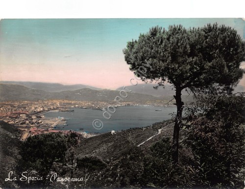 Cartolina La Spezia panorama dall'lato della baia colorata 1959