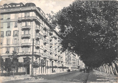 Cartolina La Spezia Viale Italia 1957