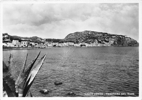 Cartolina Lacco Ameno Ischia Panorama dal mare fotocartolina Fotocelere
