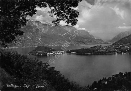 Cartolina Lago di Como Bellagio anni '50