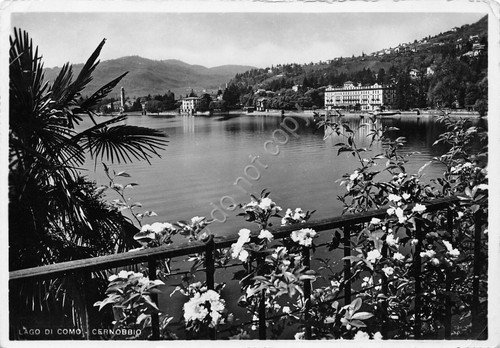 Cartolina Lago di Como Cernobbio panorama da terrazza fiorita 1954
