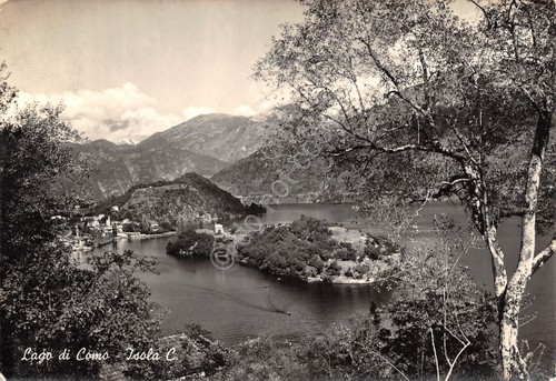 Cartolina Lago di Como Isola Comacina panorama dall'alto 1960