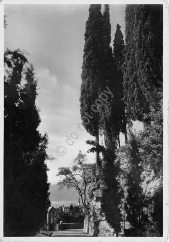 Cartolina Lago di Como Varenna panorama parziale da strada ED …