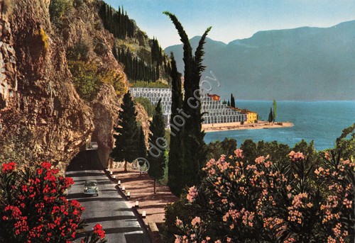 Cartolina Lago di Garda Limonaie della Gardesana Occidentale anni '80