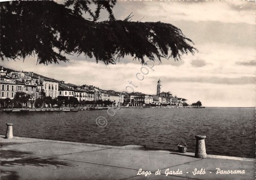 Cartolina Lago di Garda Salò panorama anni '50