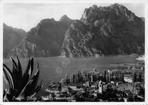 Cartolina Lago di Garda Torbole panorama 1954