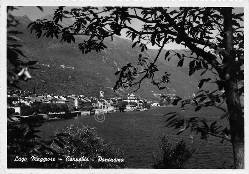 Cartolina Lago Maggiore Cannobio Panorama 1953