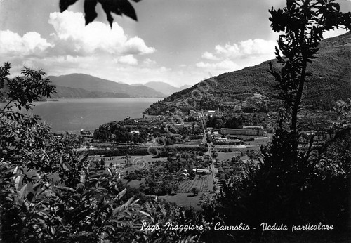 Cartolina Lago Maggiore Cannobio Panorama particolare 1953