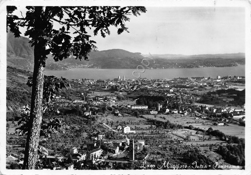 Cartolina lago Maggiore Intra Panorama 1956