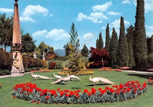 Cartolina Lago Maggiore Isola Bella giardino (Verbania)