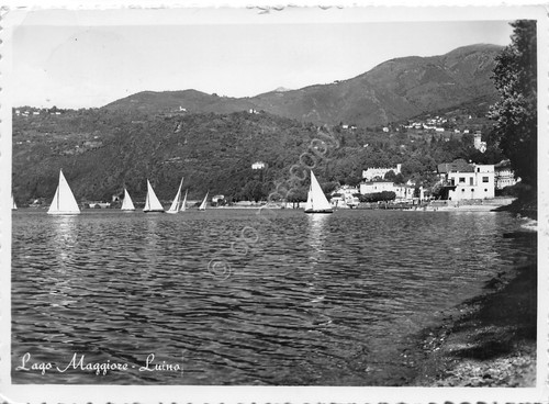 Cartolina lago Maggiore Luino panorama da lago barca a vela …