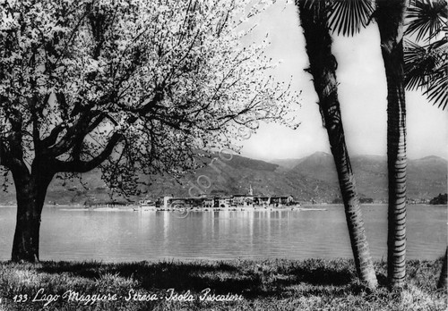 Cartolina Lago Maggiore Stresa Isola Pescatori 1951