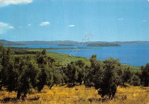 Cartolina Lago Trasimeno Panorama 1975 (Perugia)