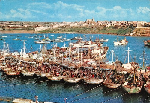 Cartolina Lampedusa Motobarca in porto pescherecci