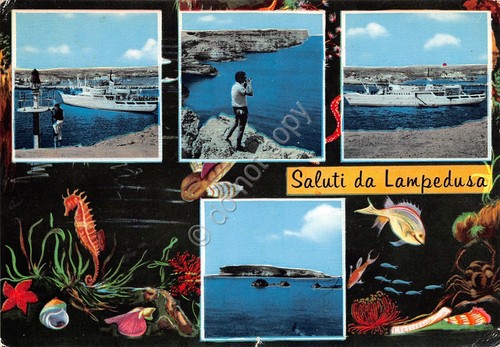 Cartolina Lampedusa vedute navi panorama 1969