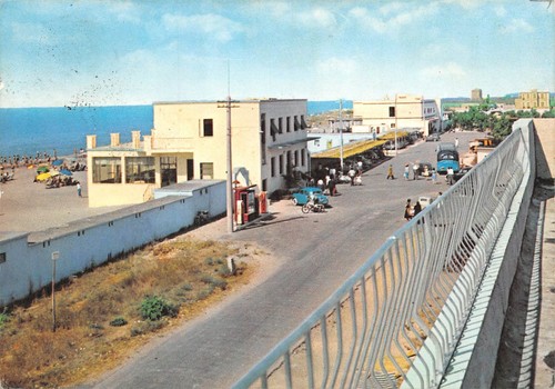 Cartolina Latina Foce Verde