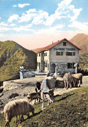 Cartolina Limone Piemonte Capanna Chiara mucche pecore