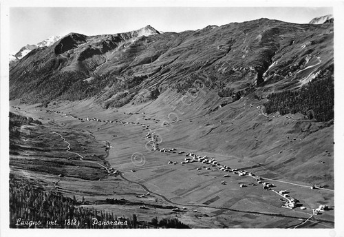 Cartolina Livigno Panorama NVG (Sondrio)