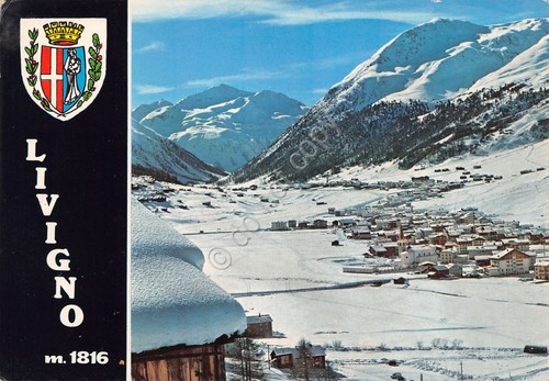 Cartolina Livigno panorama paese case stemma 1970