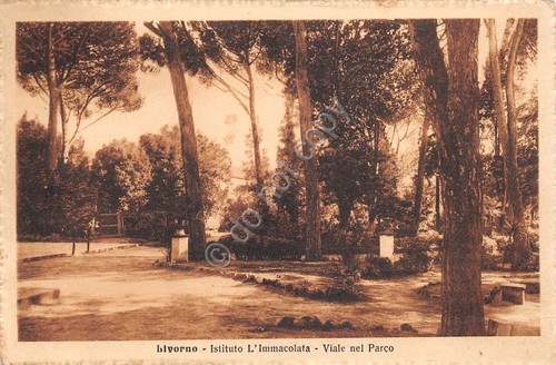 Cartolina Livorno Istituto L'Immacolata viale nel parco