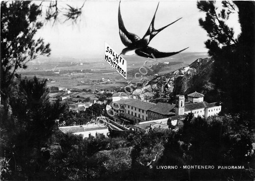 Cartolina Livorno Montenero panorama rondine 1949