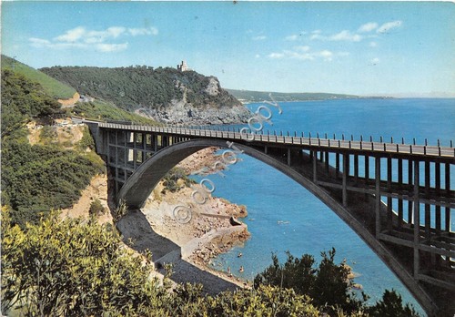 Cartolina Livorno Ponte di Calignaia 1967