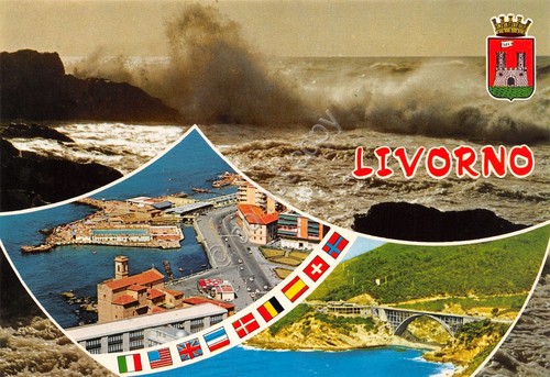 Cartolina Livorno vedute varie stemma grafica anni '80