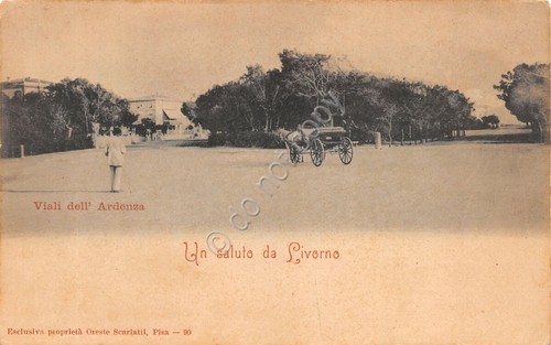 Cartolina Livorno Viali dell'Ardenza animata carrozza