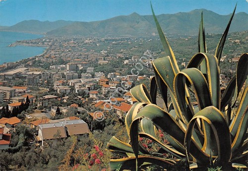 Cartolina Loano panorama da Pietra Ligure 1983 (Savona)