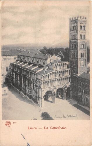 Cartolina Lucca Cattedrale dall'alto