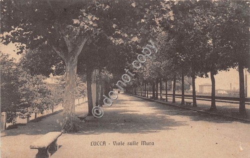 Cartolina Lucca Viale sulle mura 1914