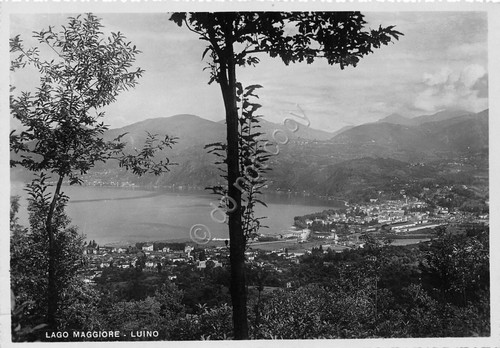Cartolina Luino Panorama
