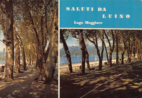 Cartolina Luino vedute giardini e lungo lago 1981