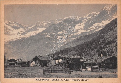 Cartolina Macugnaga Borca Frazione Isella