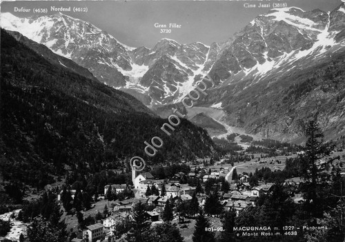Cartolina Macugnaga Panorama Monte Rosa 1955