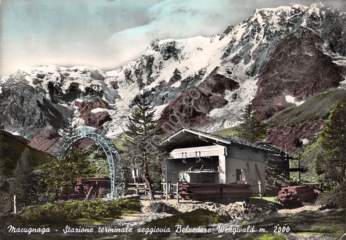 Cartolina Macugnaga Seggiovia Belvedere Wegwald 1956