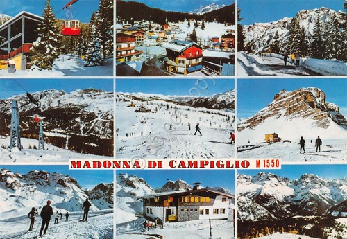 Cartolina Madonna di Campiglio vedute varie campi di sci funivia …