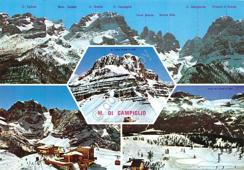 Cartolina Madonna di Campiglio vedute varie funivia monti con nome …