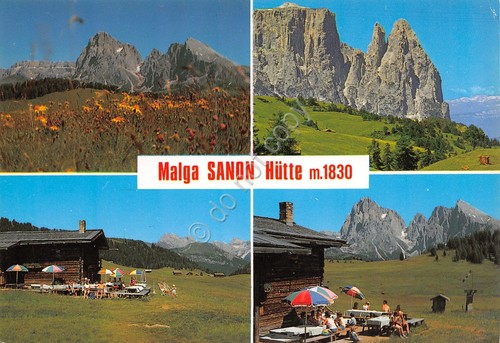 Cartolina Malga Sanon Hutte Alpe di Siusi vedute