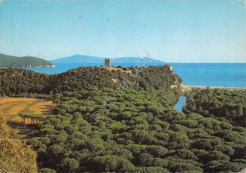 Cartolina Maremma Parco Naturale Monti Uccellina Panorama 1987 (Grosseto)
