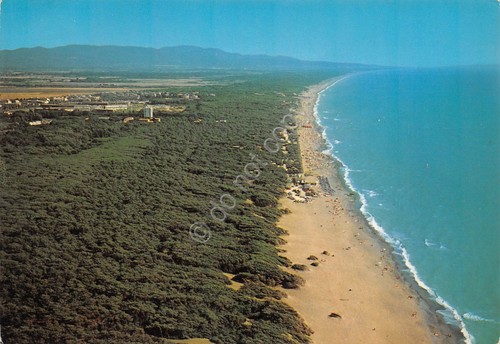 Cartolina Marina di Bibbona Veduta aerea 1985