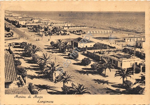 Cartolina Marina di Massa Lungomare 1954