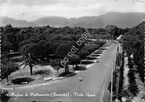 Cartolina Marina di Pietrasanta Fiumetto Viale Apua 1954