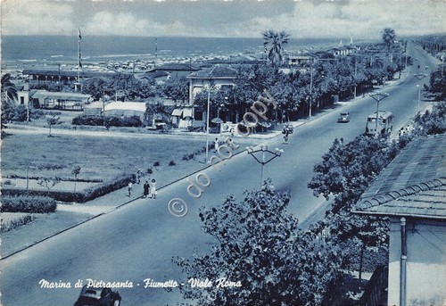 Cartolina Marina di Pietrasanta Fiumetto Viale Roma 1955 (Lucca)