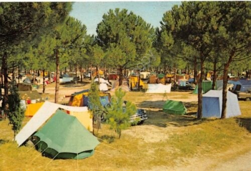 Cartolina Marina Romea camping 1964