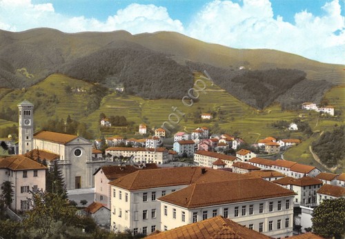 Cartolina Masone Panorama (Genova)