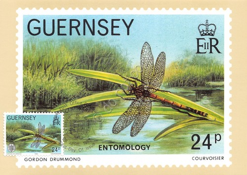 Cartolina Maximum Guernsey Entmology 1982